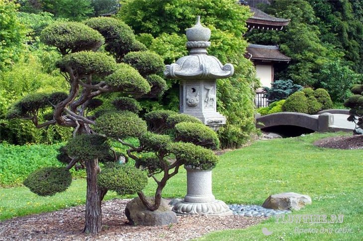 японский, сад, ландшафтный, дизайн, стиль, оформить