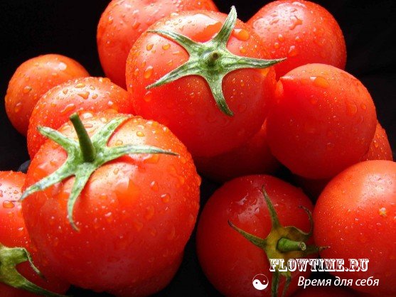 помидоры, выращивание, томатов, помидоров, в открытом, грунте, закрытом, теплице, уход, удобрения, болезни, помидор