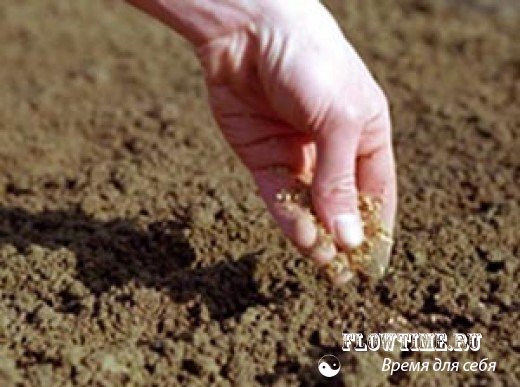 торфяная почва, торф, окультуривание, кислотность, кислые, почвы